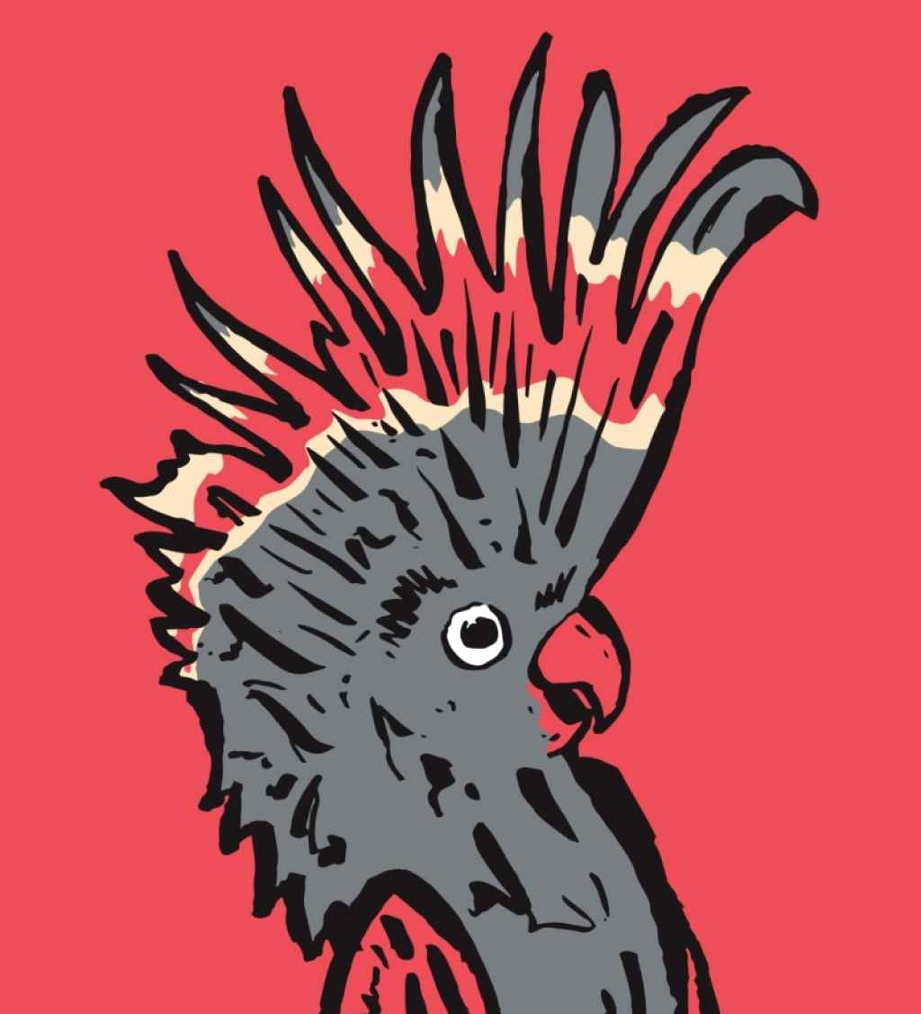 Riverlinks & Melbourne International Comedy Festival present Melbourne International Comedy Festival Roadshow