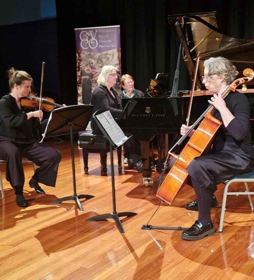 Riverlinks presents Goulburn Valley Concert Orchestra - Chamber Series